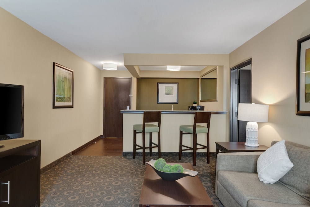 Crowne Plaza Houston Galleria Area by IHG - photo 13