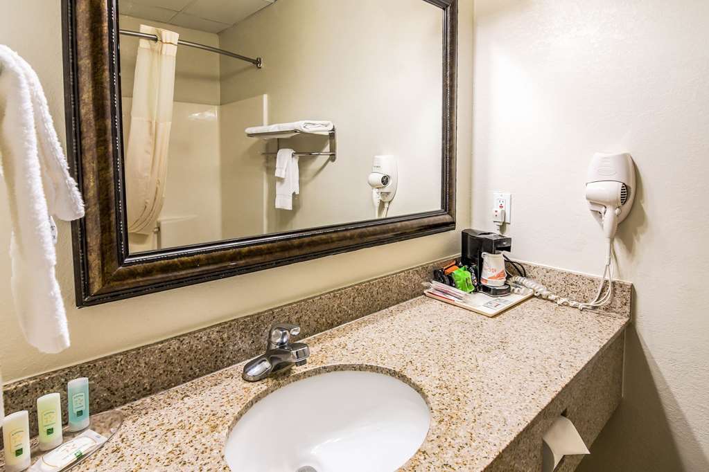 Quality Inn Alexander City - photo 27