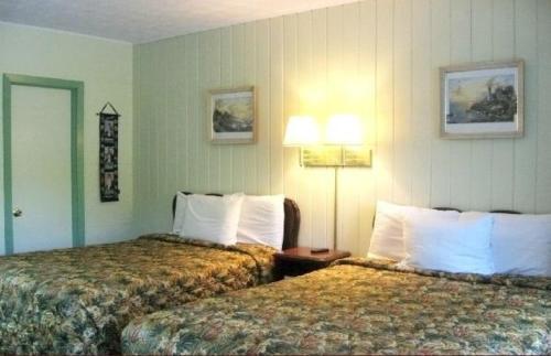 White Columns Motel - photo 11