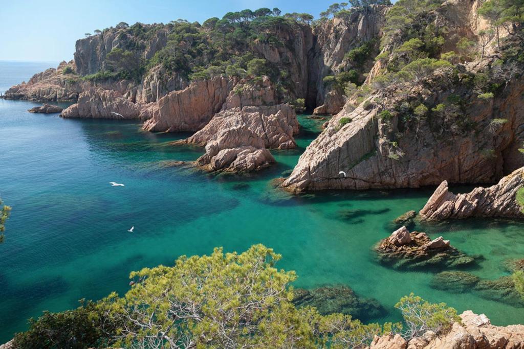 Nuevo Luminoso Apartamento Catalina a 80 metros de la playa para 4 personas — 4-Star Luxury Hotel in Sant Feliu De Guixols, Spain