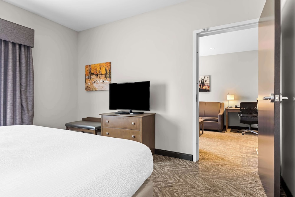 Best Western Plus Bolivar Hotel & Suites - photo 12