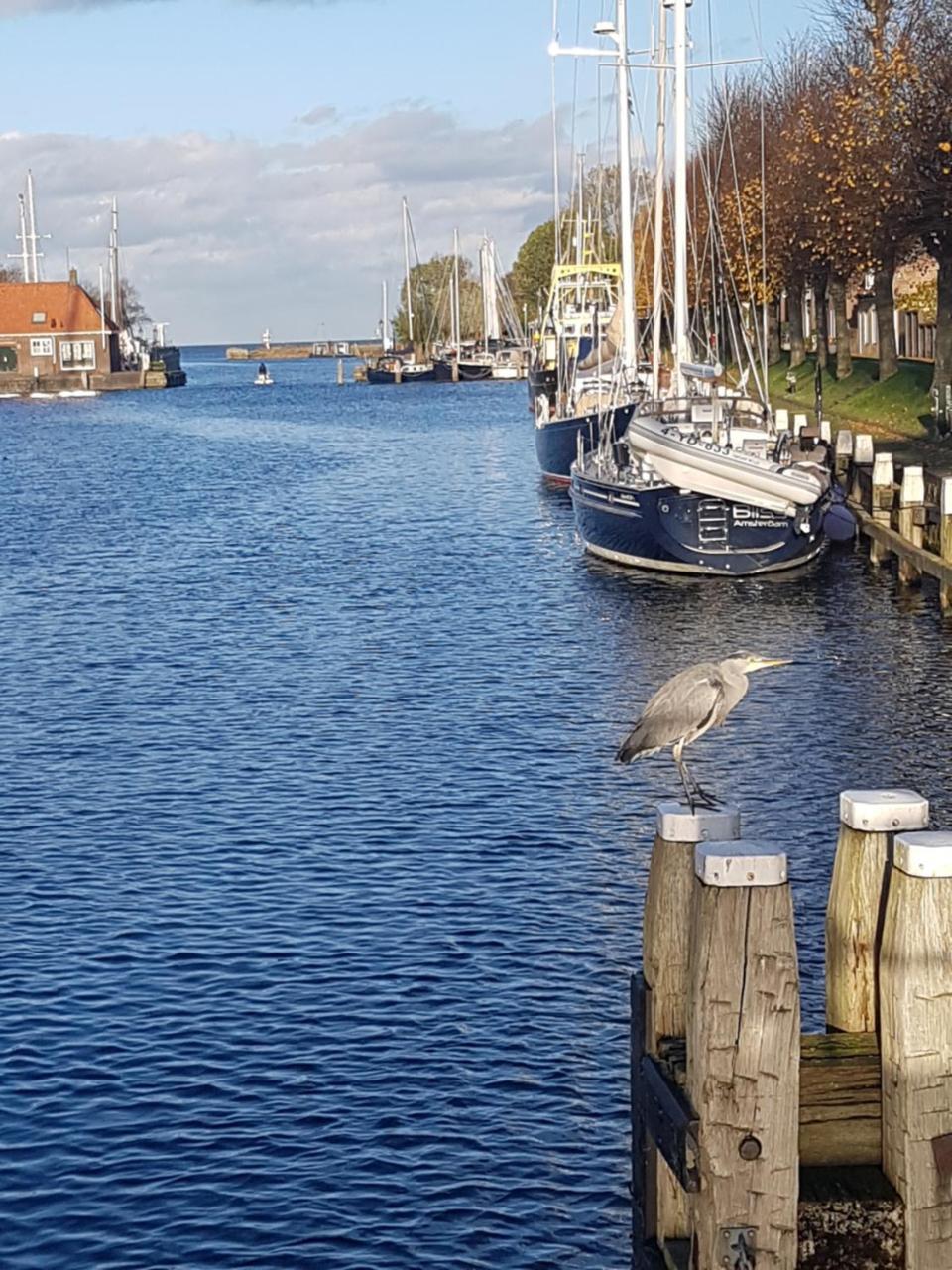 Vliet Huis — hotel in Medemblik