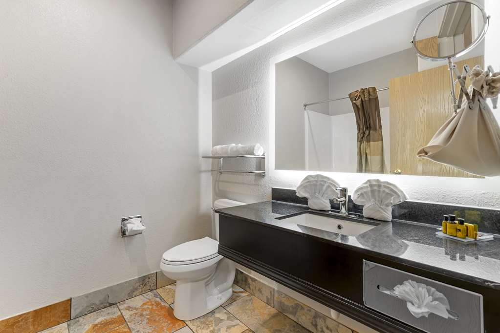 Best Western Plus Des Moines West Inn & Suites - photo 38