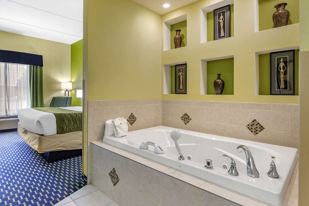 Comfort Inn Athens - photo 9