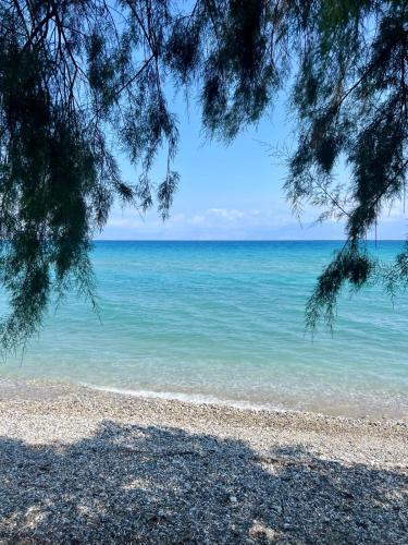Lemon tree Gr — 4-Star Luxury Hotel in Xylokastro, Greece