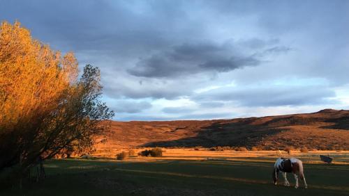 Estancia Santa Thelma — hotel in Gobernador Gregores