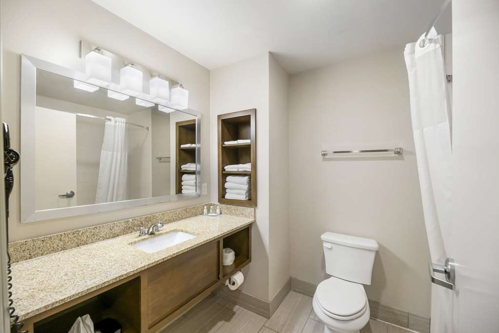 Quality Inn & Suites Carlsbad Caverns Area - photo 13