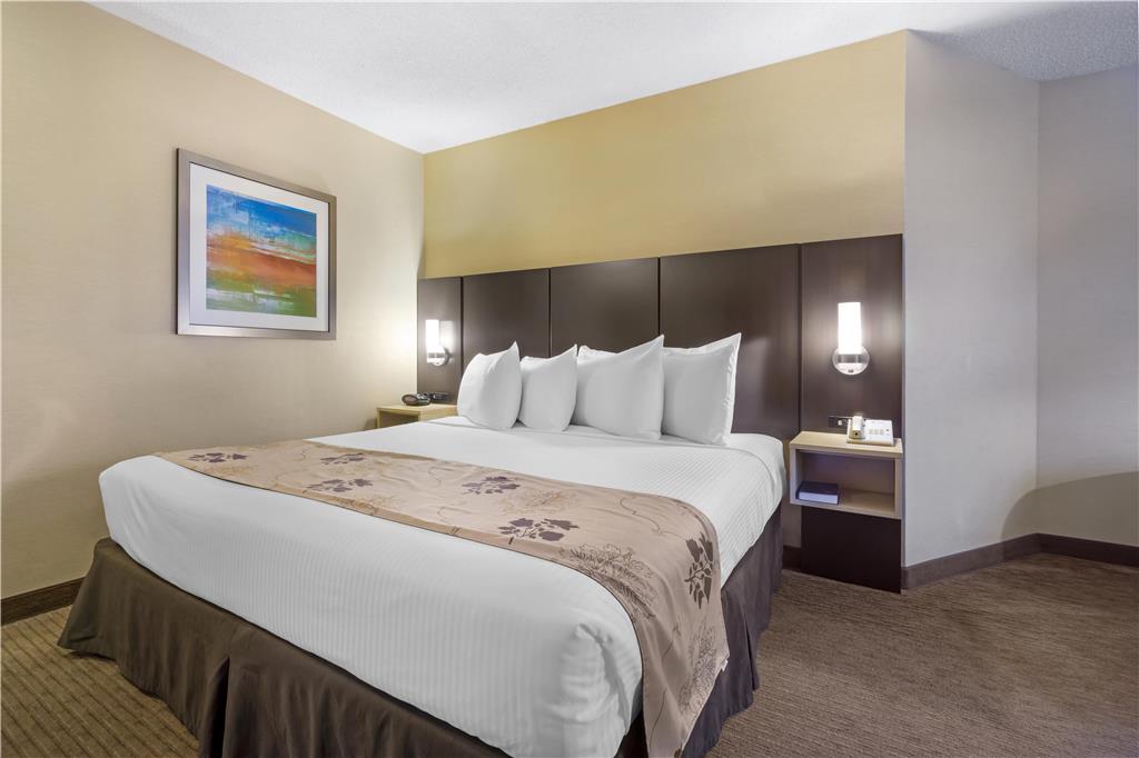 Best Western Seattle Airport Hotel - photo 16