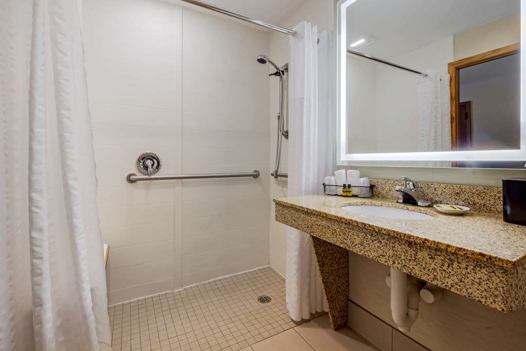 Best Western Plus Dubuque Hotel & Conference Center - photo 52