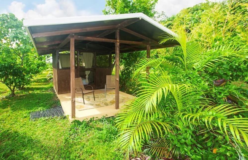 Kirpal Meditation and Ecological Center - photo 25