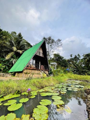 The wilds Sinharaja - last minute hotel in Unknown City