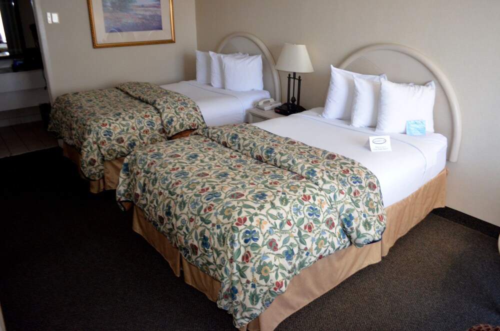 Chapel Hill University Inn - photo 17