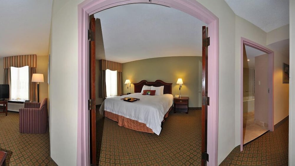 Hampton Inn South Hill - photo 8