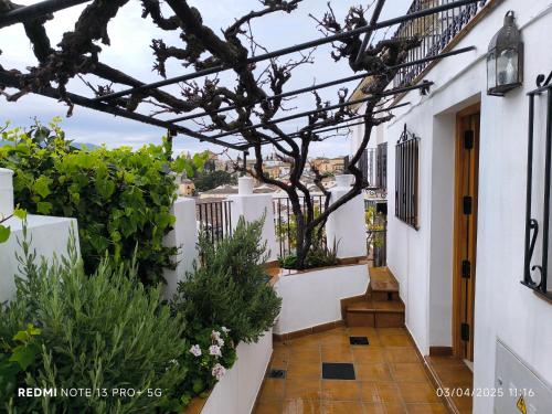 La Casita De La Parra — Ronda