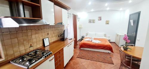 Pensiunea Red Rose Apartments — 4-Star Luxury Hotel in Timisoara, Romania
