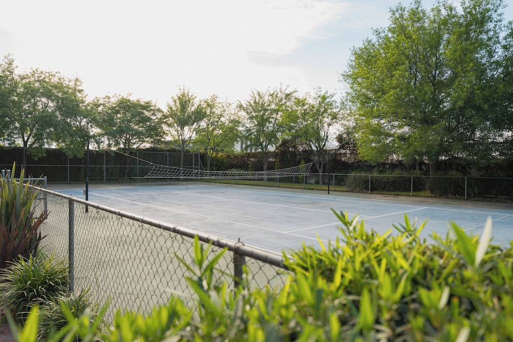 Tennis court