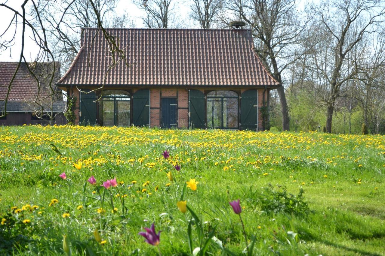 Remise unter dem Storchennest - last minute hotel in Lemwerder