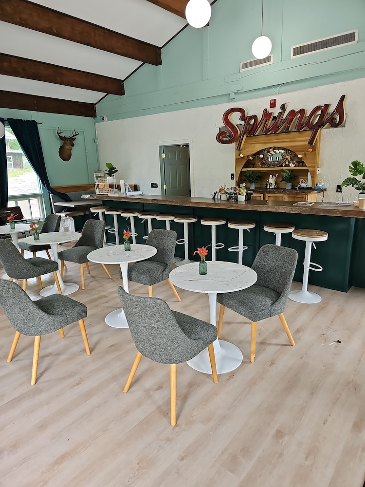 The Springs Motel - photo 2