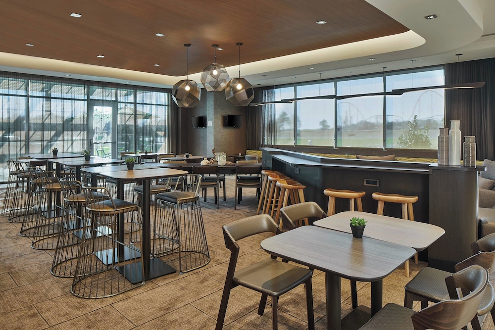 SpringHill Suites by Marriott Charlotte at Carowinds - photo 25