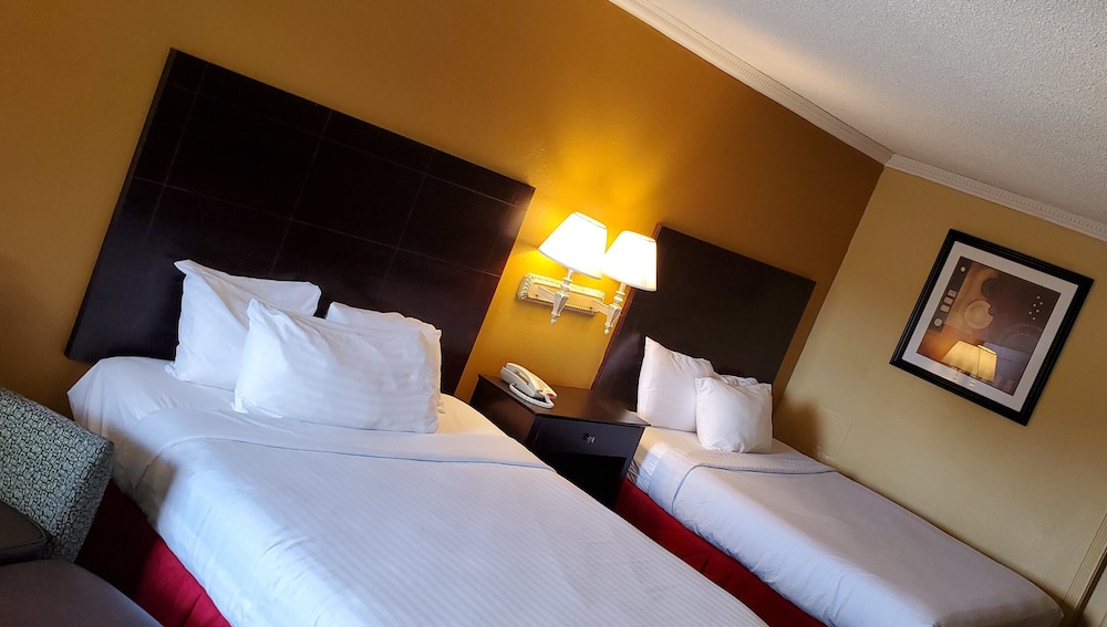 Sweet Dream Inn - photo 5