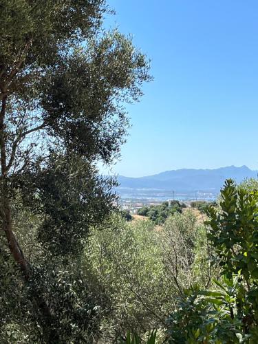 Venti di Vacanza Levante & Grecale — 4-Star Luxury Hotel in Olbia, Italy