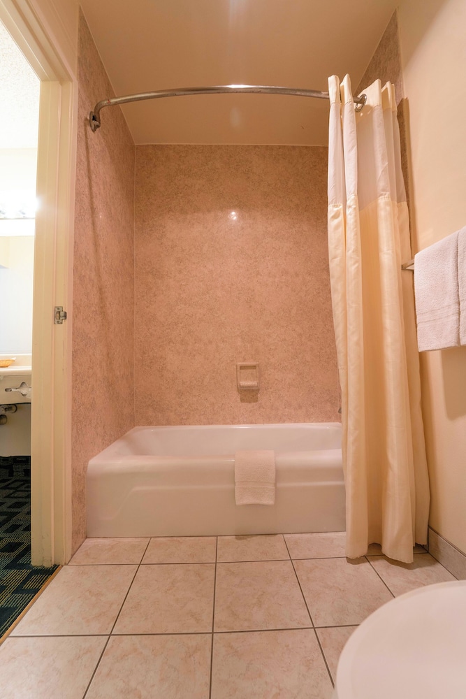 Royal Plaza Inn Indio - photo 59