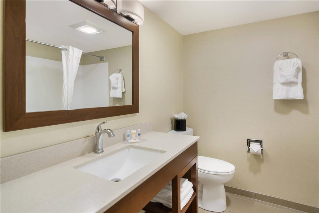 Comfort Inn Lexington Virginia Horse Center - photo 16