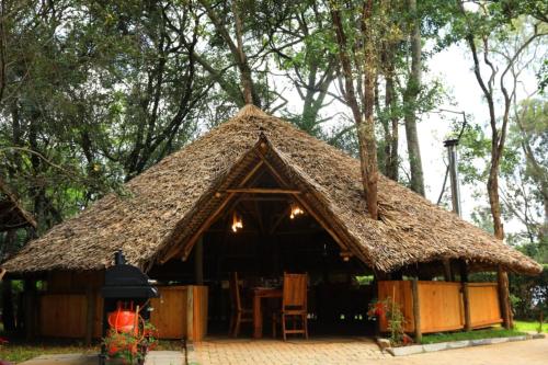 The Giraffe Cottage
