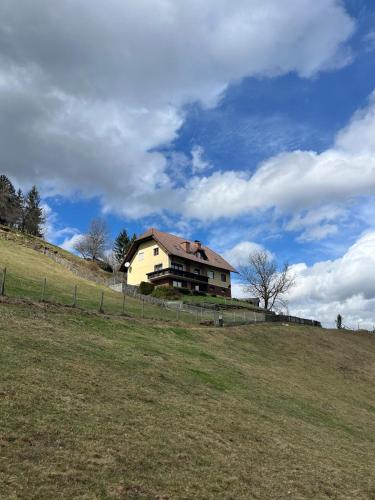 Erholung pur mit Aussicht und Alpakas zum Angreifen nahe pet-friendly hotel Maria Lankowitz