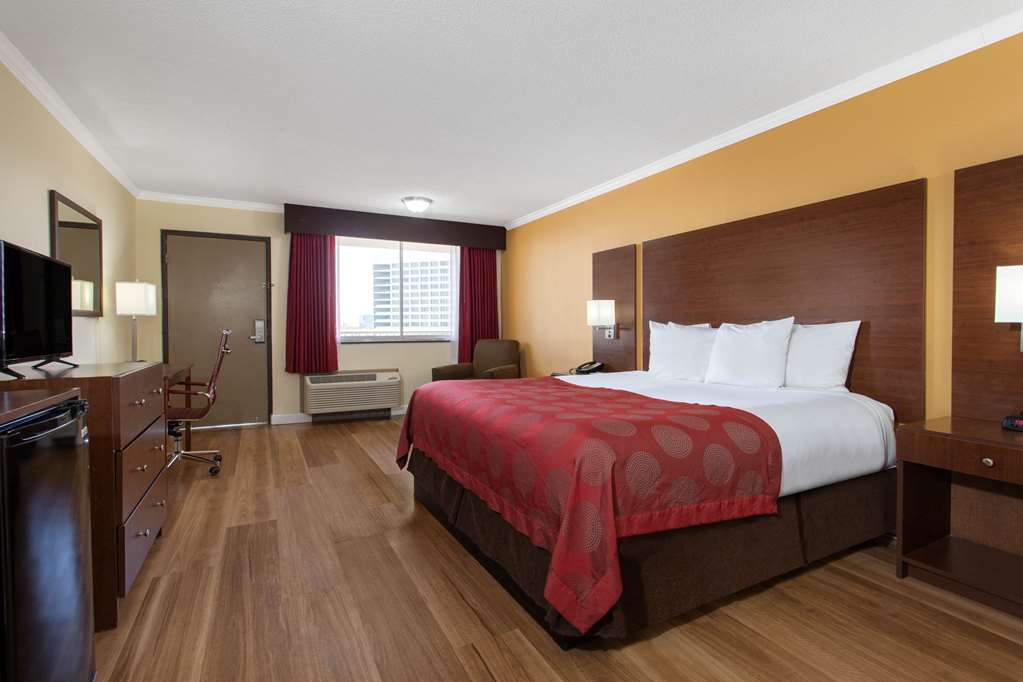 Ramada by Wyndham Tampa Westshore Airport South - photo 27