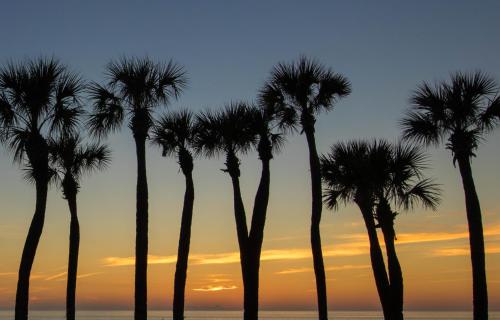 Gulf Place 7B - photo 34