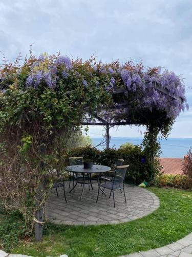 Mila Maris - carbon neutral hotel in Ustka