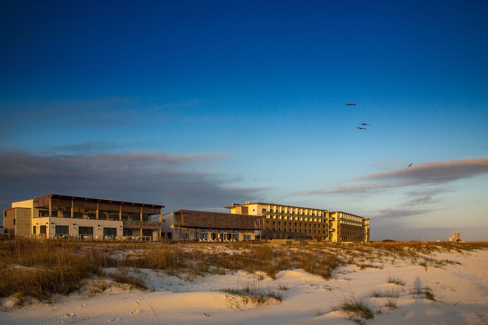 The Lodge at Gulf State Park A Hilton Hotel - photo 101
