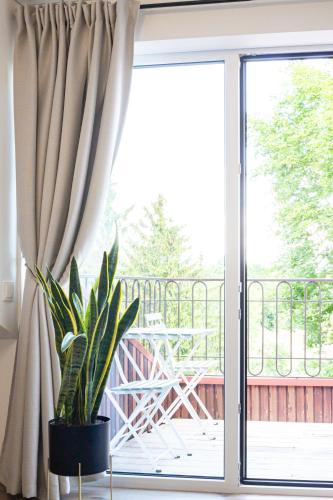 Rossak apartment 2 — 4-Star Luxury Hotel in Panevezys, Lithuania