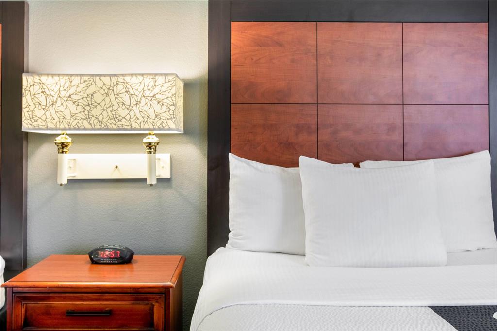 La Quinta Inn & Suites by Wyndham DFW Airport South Irving - photo 19