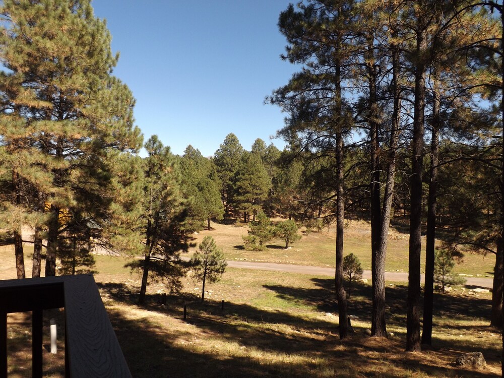Arizona Mountain Inn and Cabins - photo 320