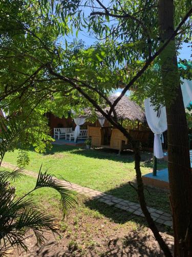 VitaminSea Room in Dauin, Philippines