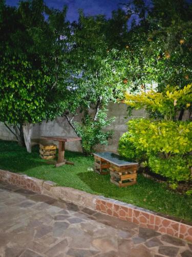 The Wild Thing Guesthouse — Serowe — photo 4