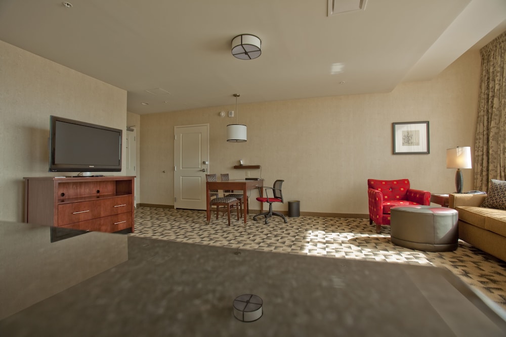 Embassy Suites Buffalo - photo 17