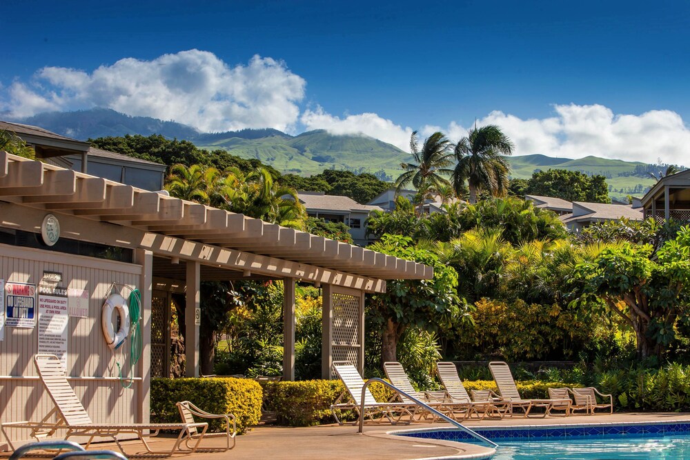Wailea Ekolu #501 - photo 9