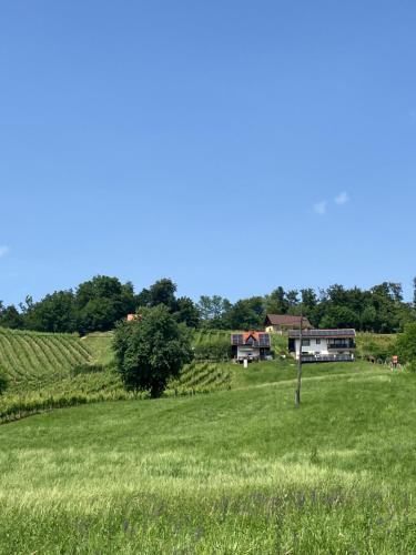 Kozjanski odklop in Unknown City, Slovenia