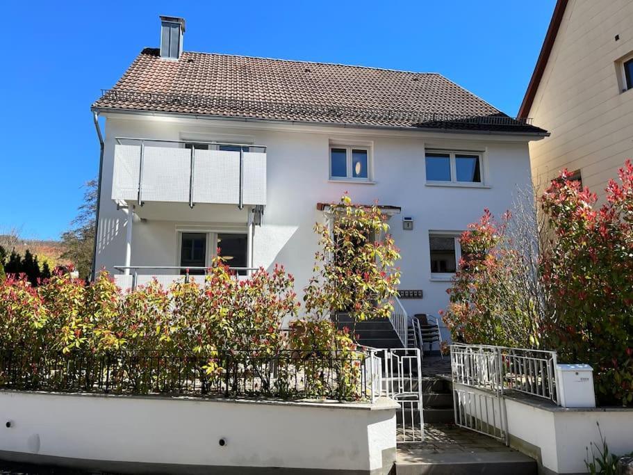 TTP 15 Markdorf — hotel in Markdorf