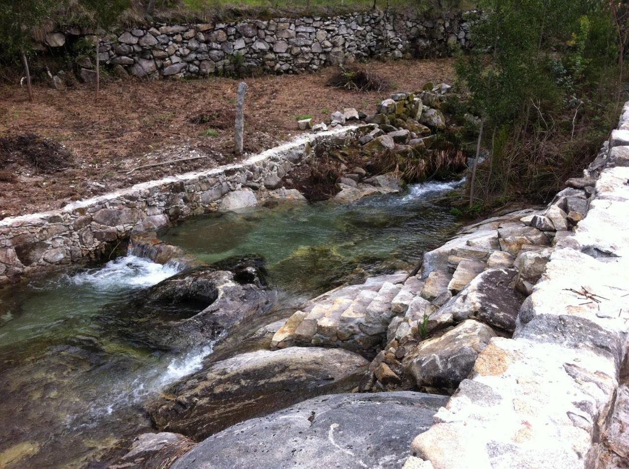 Quinta Porto dos Lobos — Sever Do Vouga — photo 4