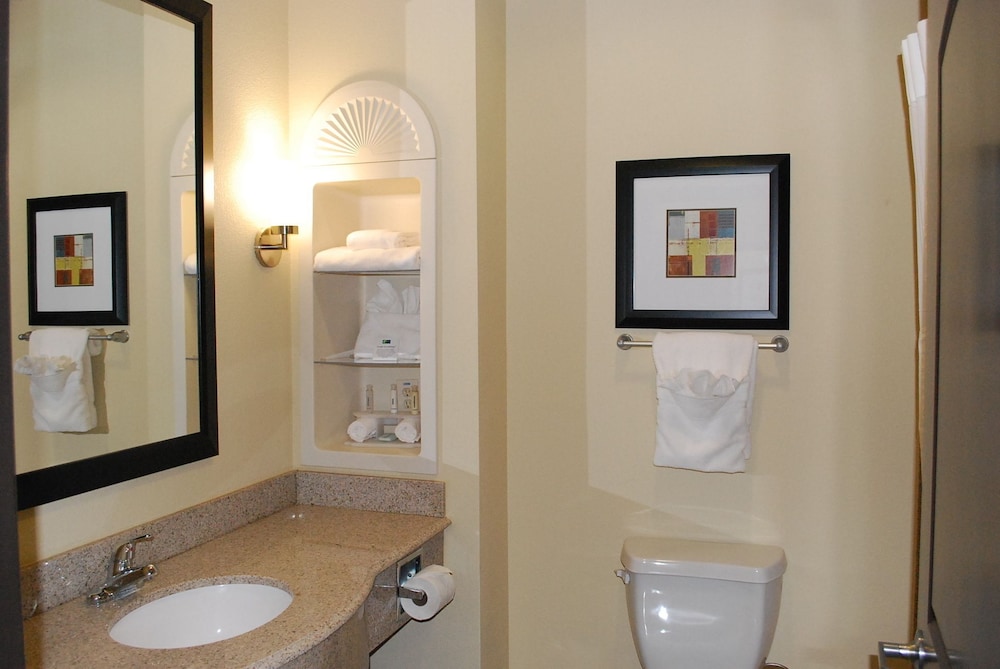 Holiday Inn Express & Suites Houston South near Pearland by IHG - photo 18