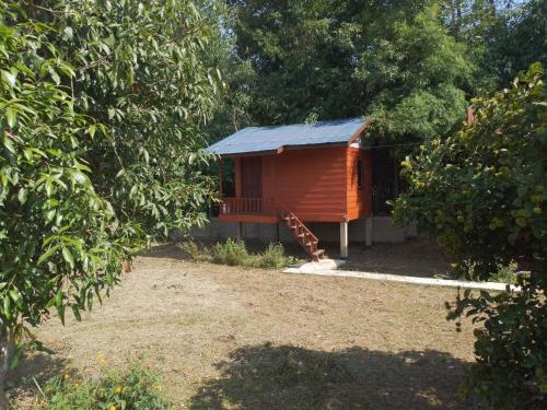 Pink Buffalo Eco Resort in Unknown City, Laos