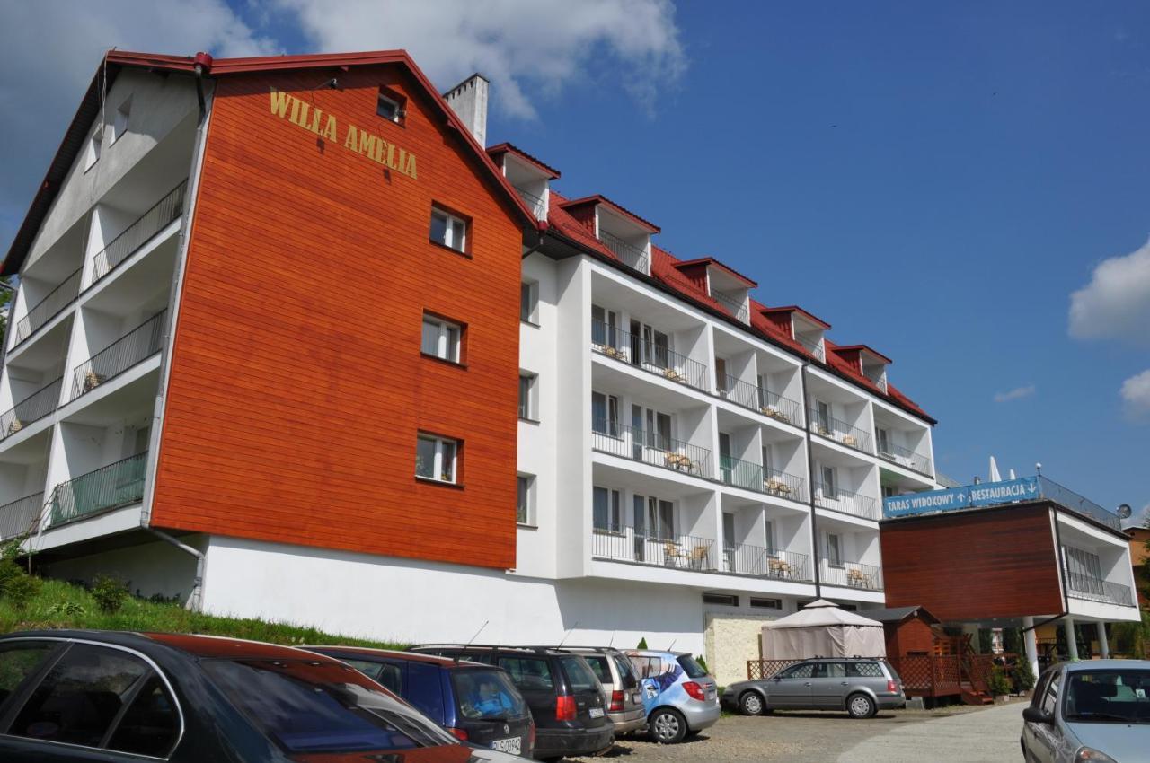 Willa Amelia in Lesko, Poland