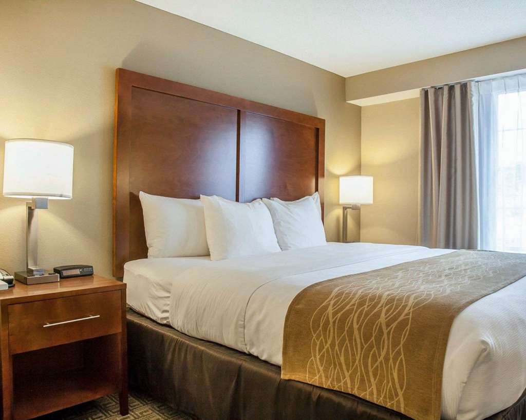Comfort Inn & Suites Sturbridge Brimfield - photo 26
