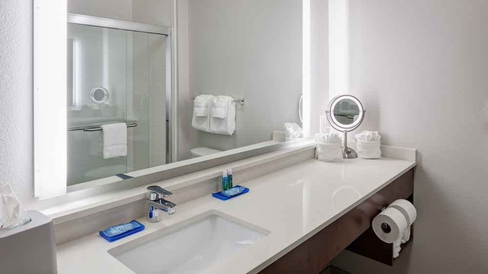 Holiday Inn Express & Suites Orlando at SeaWorld by IHG - photo 31