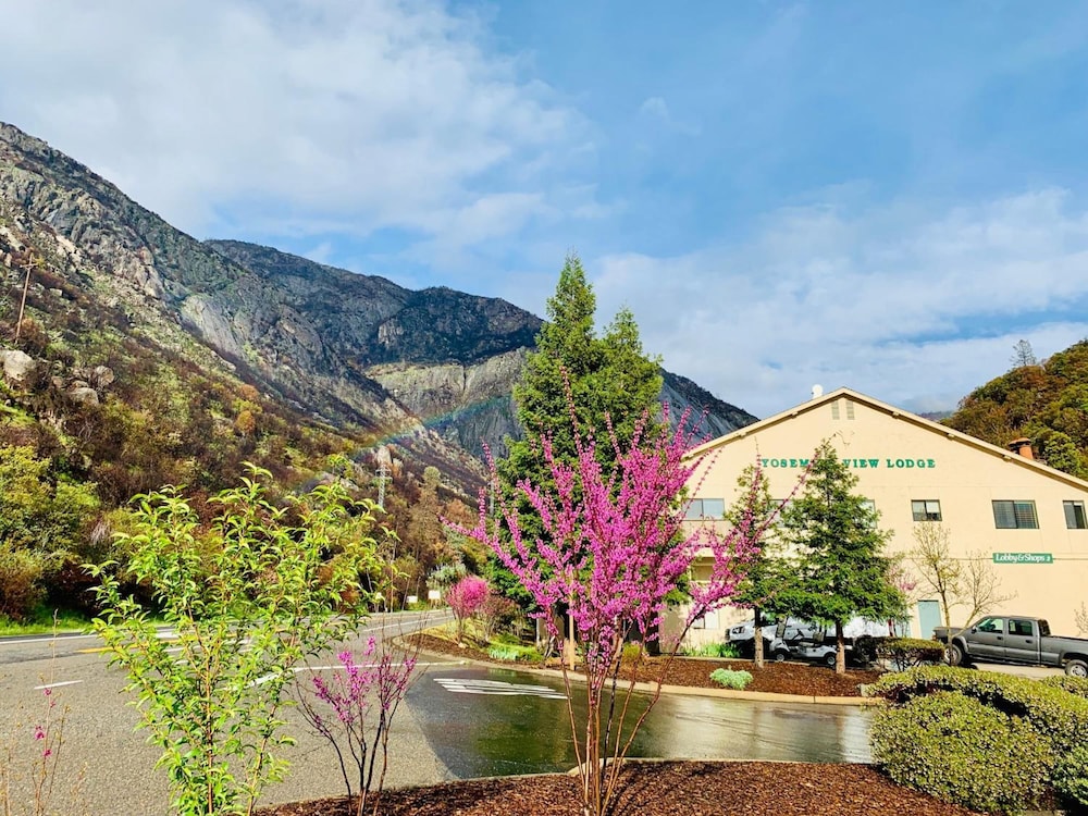 Yosemite View Lodge - photo 69