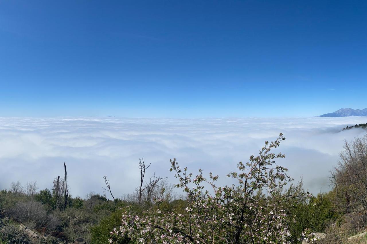 Million Dollar Mountain View — Crestline — photo 4